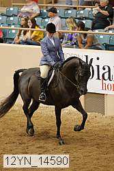 12yn_14590 proof