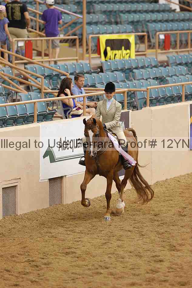 Proof 12yn_14605