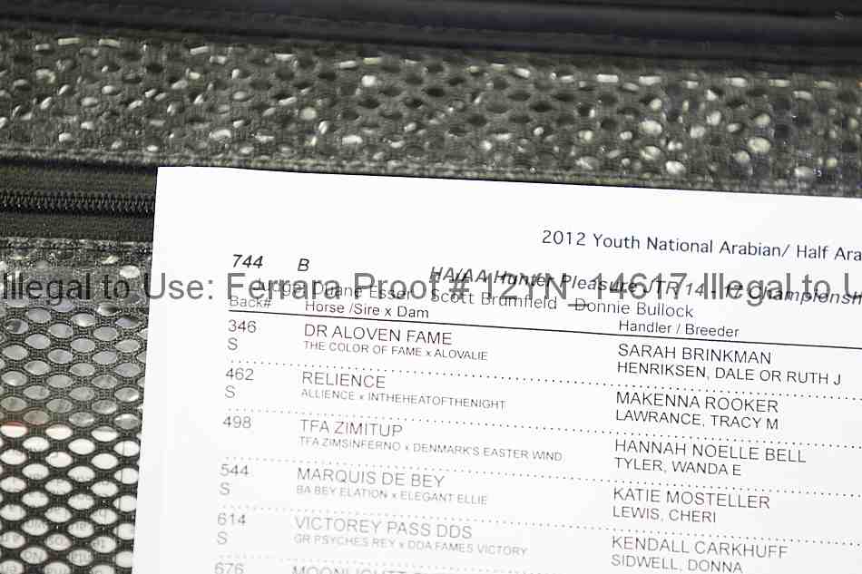 Proof 12yn_14617