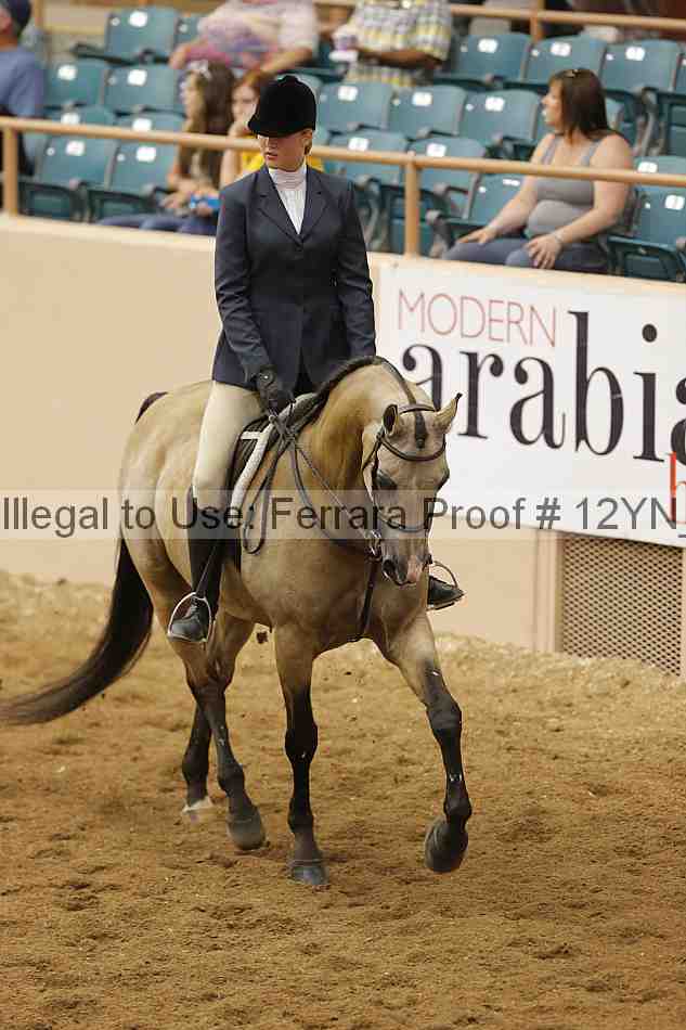 Proof 12yn_14668