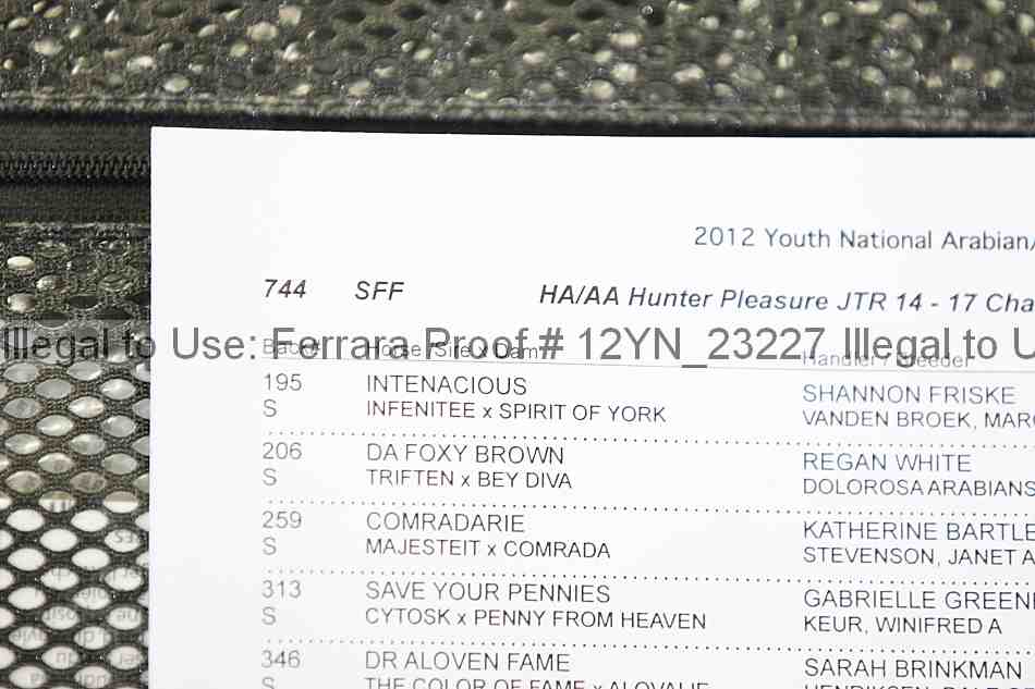 Proof 12yn_23227