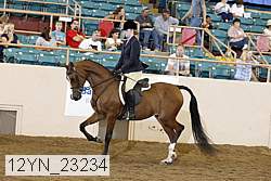 12yn_23234 proof