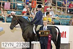 12yn_23268 proof