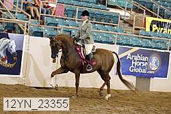 12yn_23355 proof