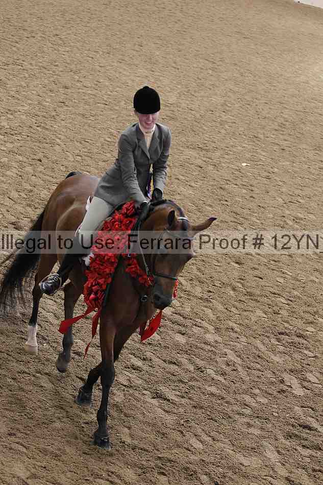 Proof 12yn_23391