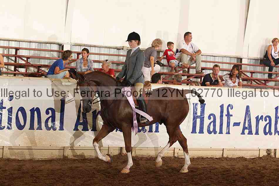 Proof 12yn_02770