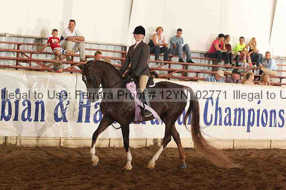 Proof 12yn_02771