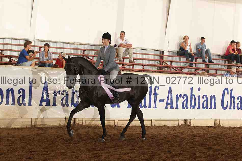 Proof 12yn_02772
