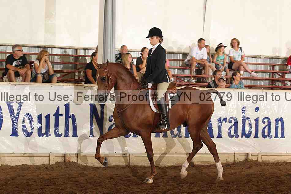 Proof 12yn_02779