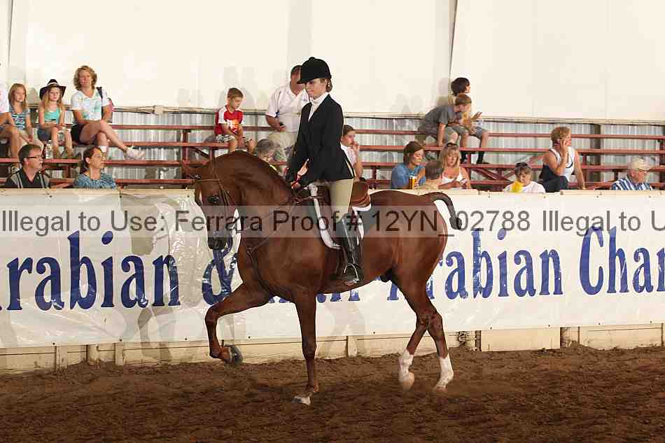 Proof 12yn_02788