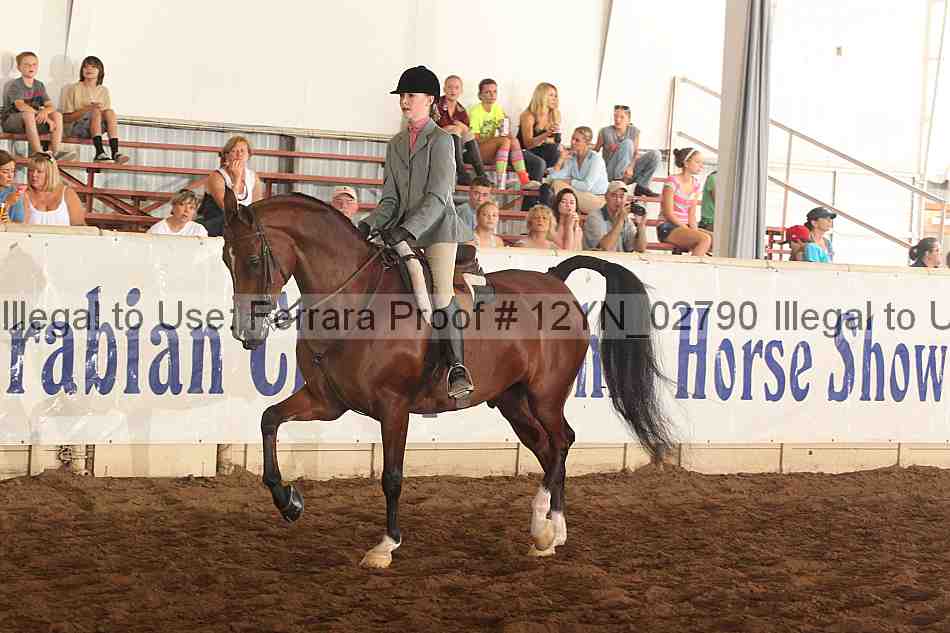Proof 12yn_02790