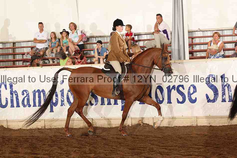 Proof 12yn_02796