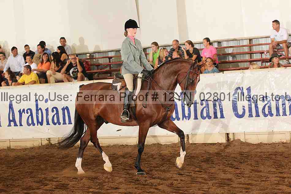 Proof 12yn_02801