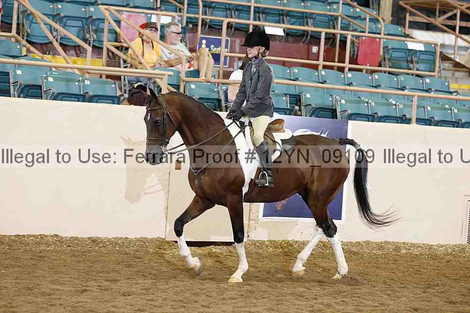 Proof 12yn_09109