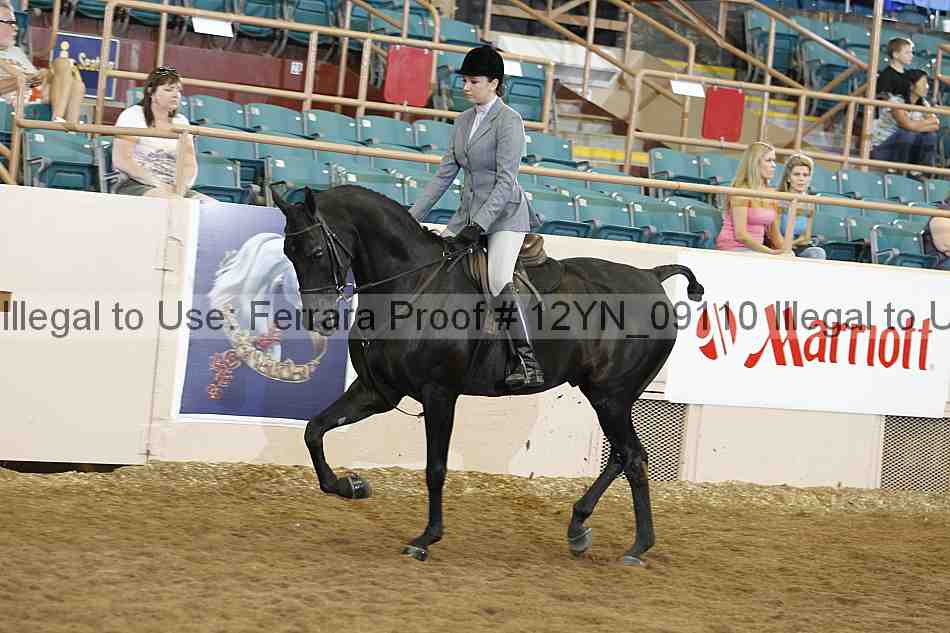 Proof 12yn_09110