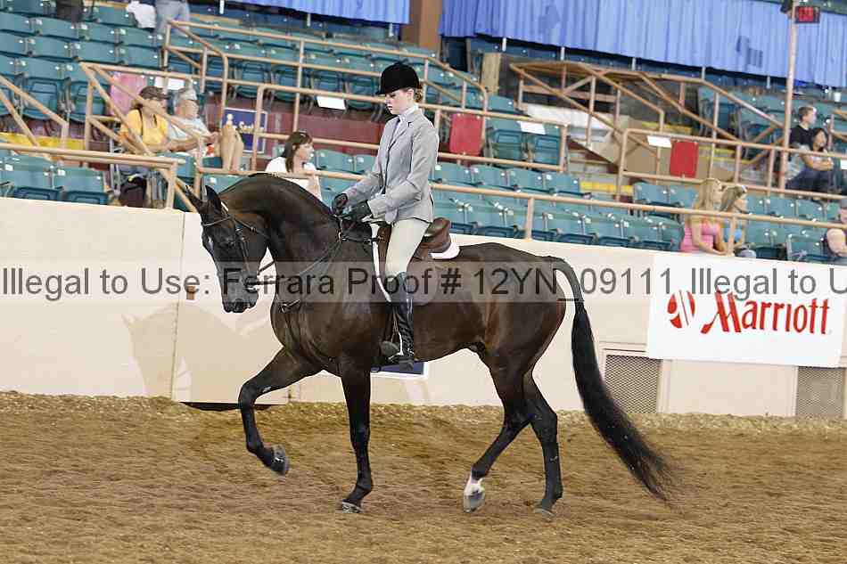 Proof 12yn_09111