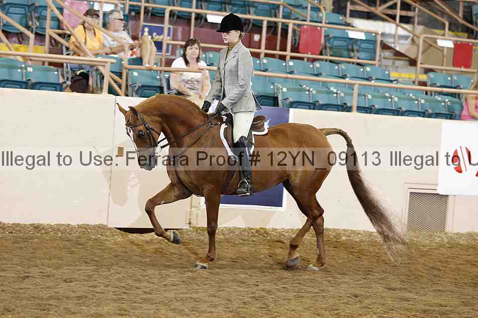 Proof 12yn_09113