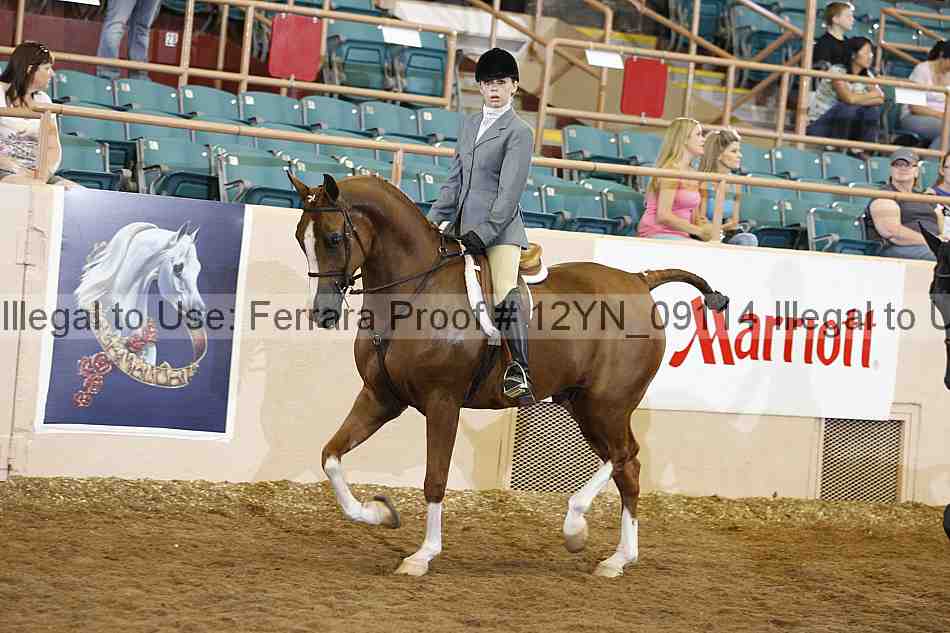 Proof 12yn_09114
