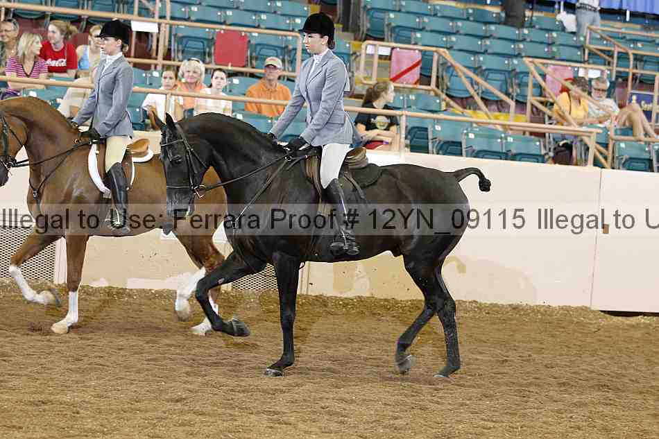 Proof 12yn_09115
