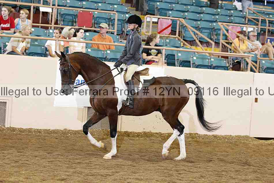 Proof 12yn_09116