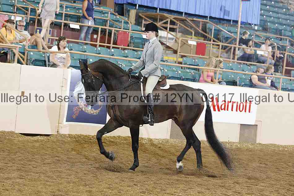 Proof 12yn_09117
