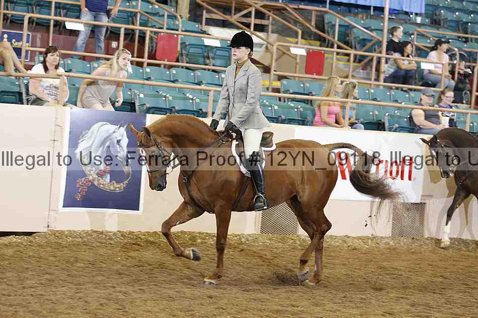 Proof 12yn_09118