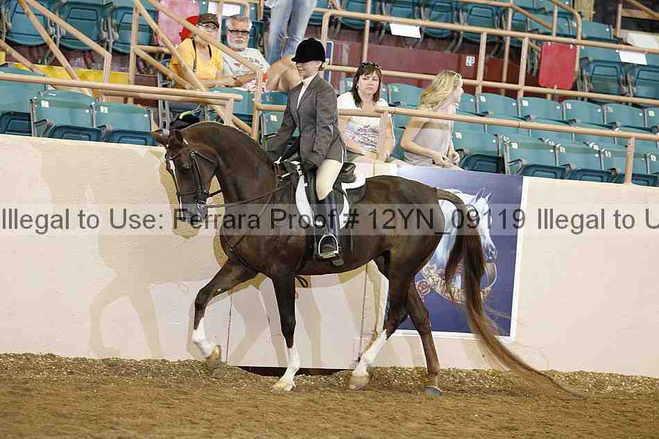 Proof 12yn_09119