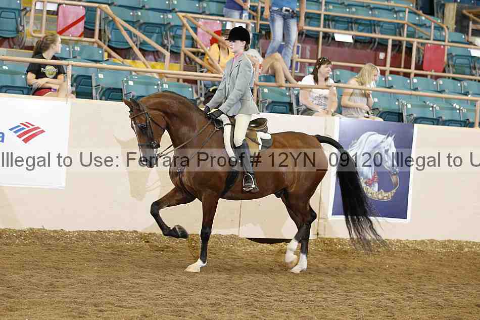 Proof 12yn_09120