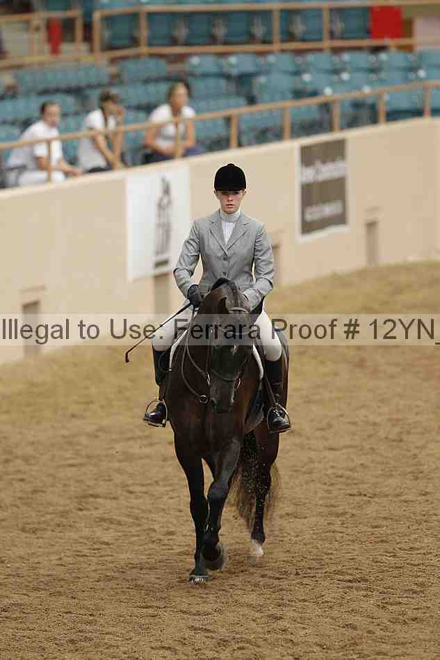 Proof 12yn_09123
