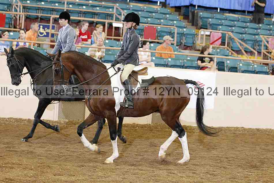 Proof 12yn_09124