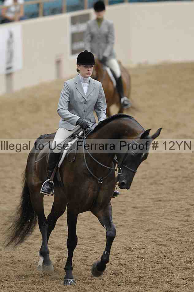 Proof 12yn_09125