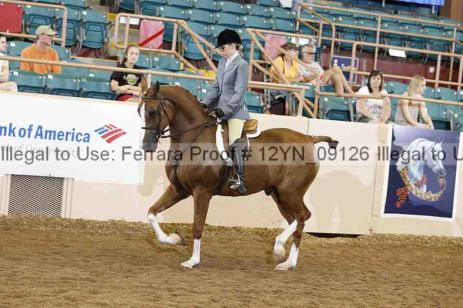 Proof 12yn_09126
