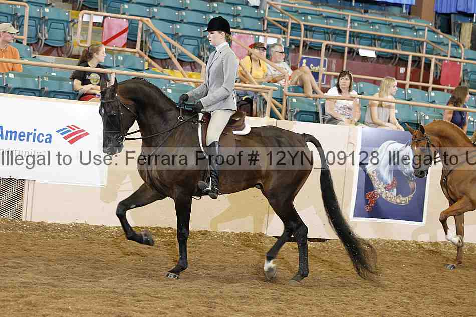 Proof 12yn_09128