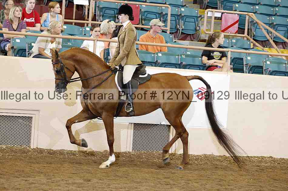 Proof 12yn_09129