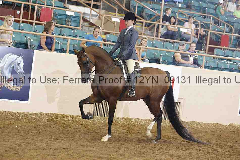 Proof 12yn_09131