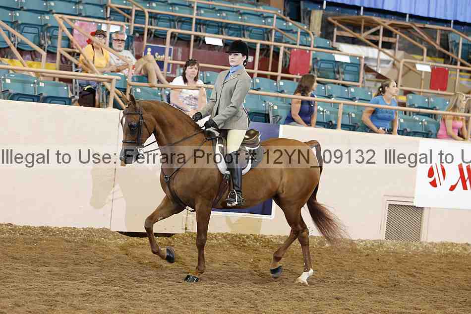 Proof 12yn_09132