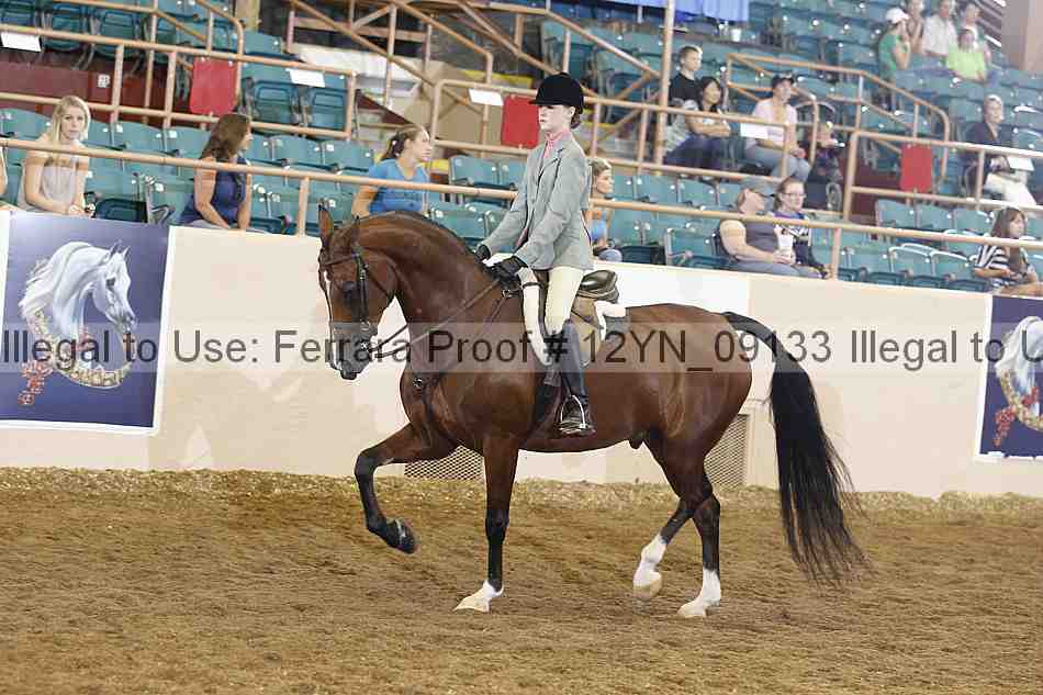 Proof 12yn_09133
