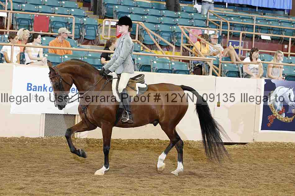 Proof 12yn_09135