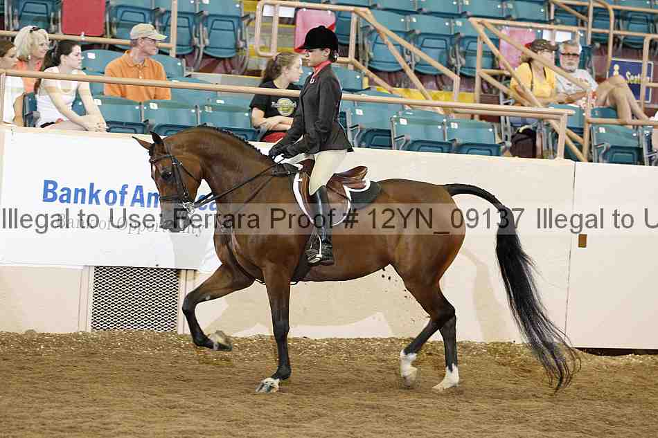 Proof 12yn_09137