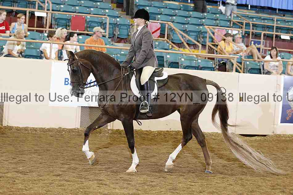 Proof 12yn_09138