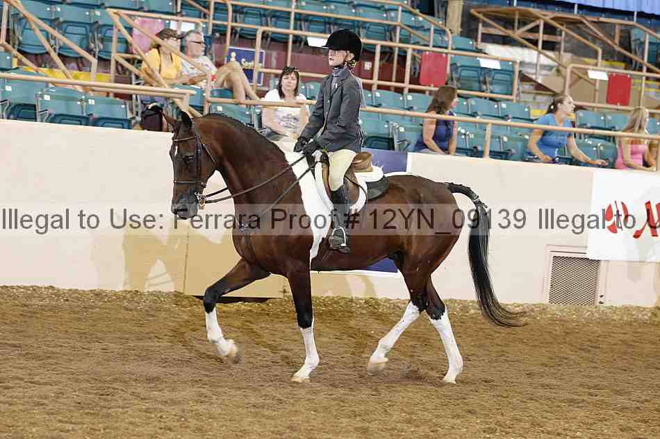 Proof 12yn_09139