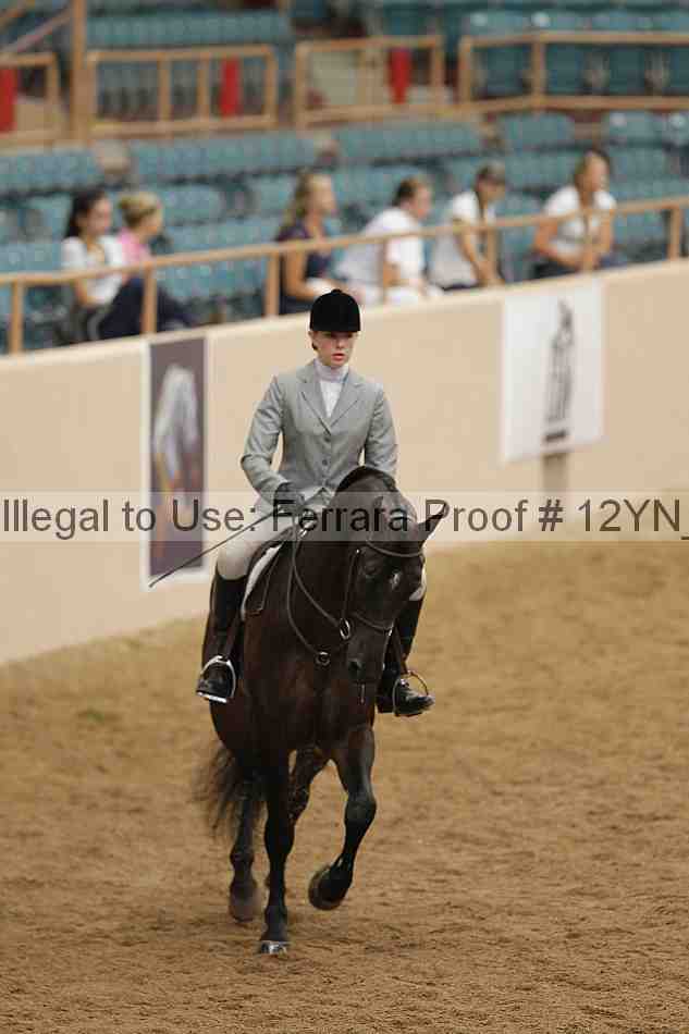 Proof 12yn_09140