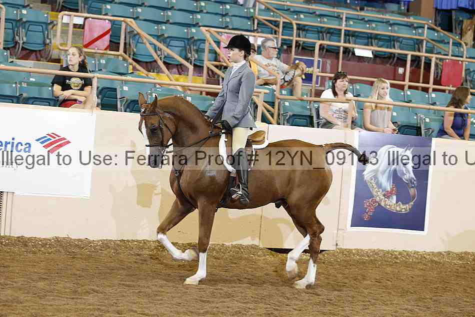 Proof 12yn_09143