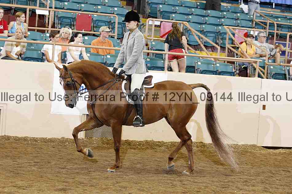 Proof 12yn_09144