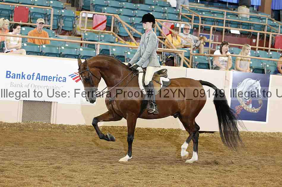 Proof 12yn_09149