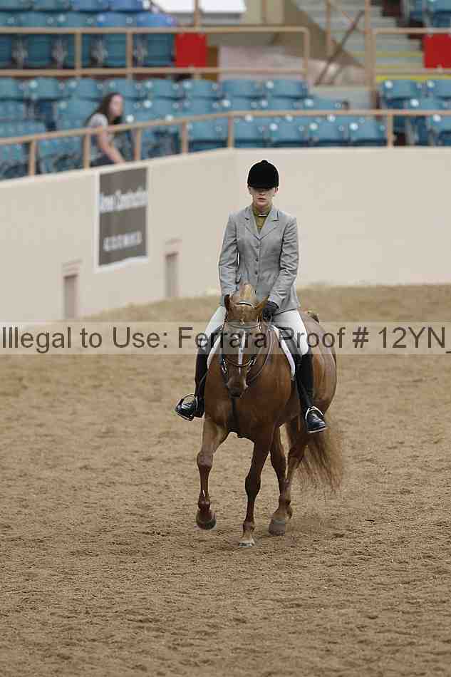 Proof 12yn_09150
