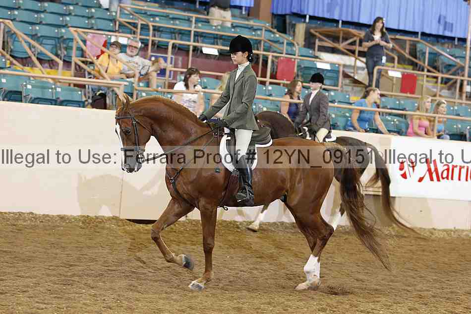 Proof 12yn_09151
