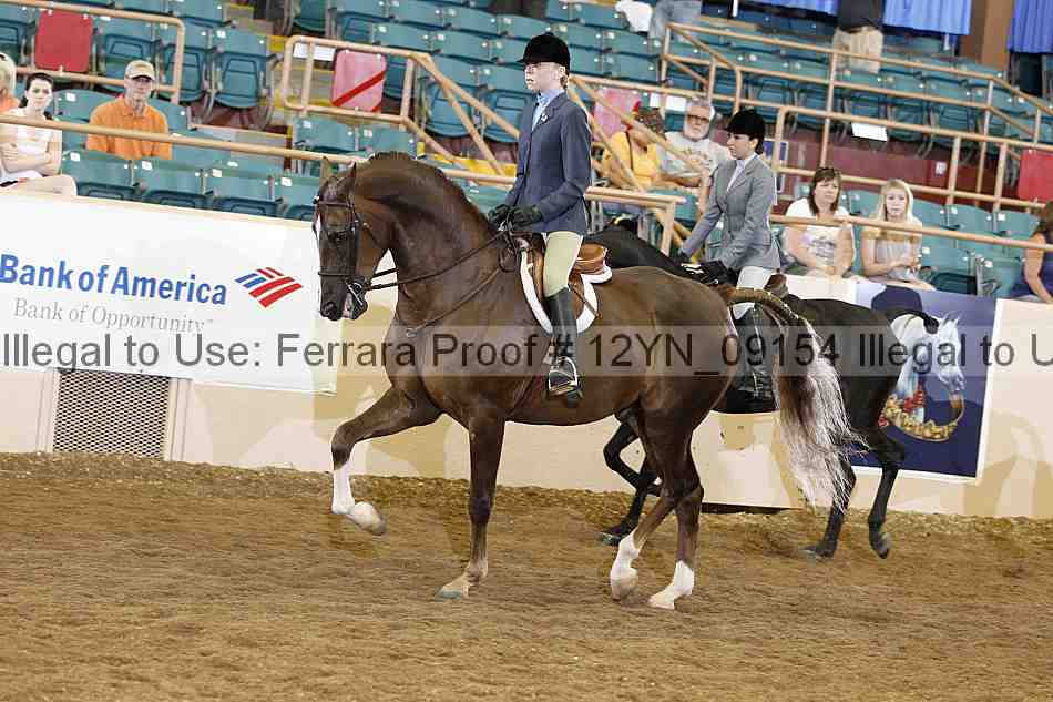 Proof 12yn_09154