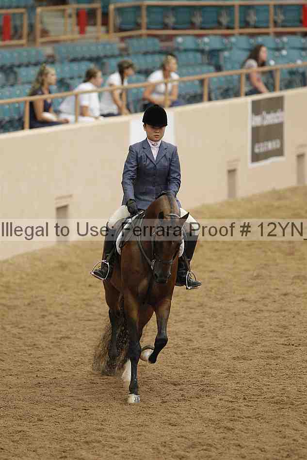 Proof 12yn_09155