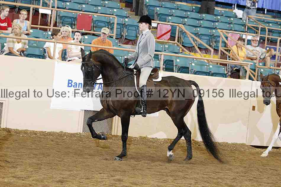 Proof 12yn_09156